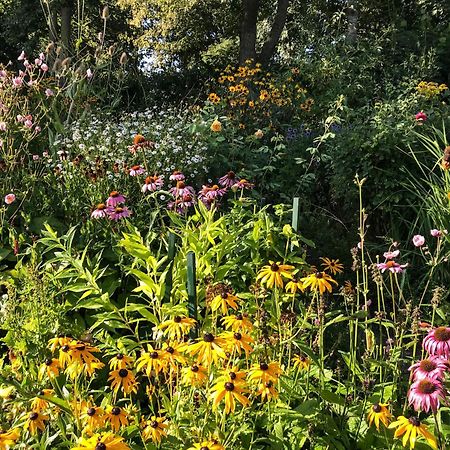 Gartenhaus Frieda Galmsbull Bagian luar foto