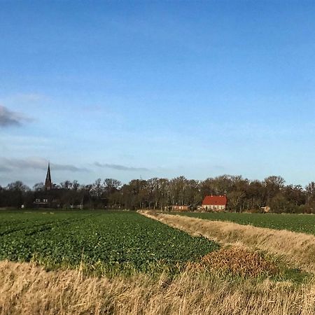 Gartenhaus Frieda Galmsbull Bagian luar foto