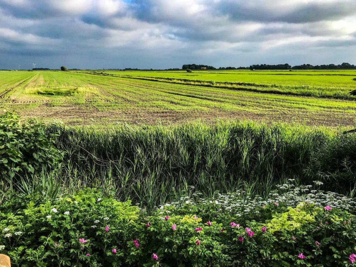Gartenhaus Frieda Galmsbull Bagian luar foto