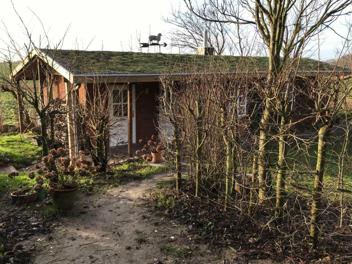 Gartenhaus Frieda Galmsbull Bagian luar foto
