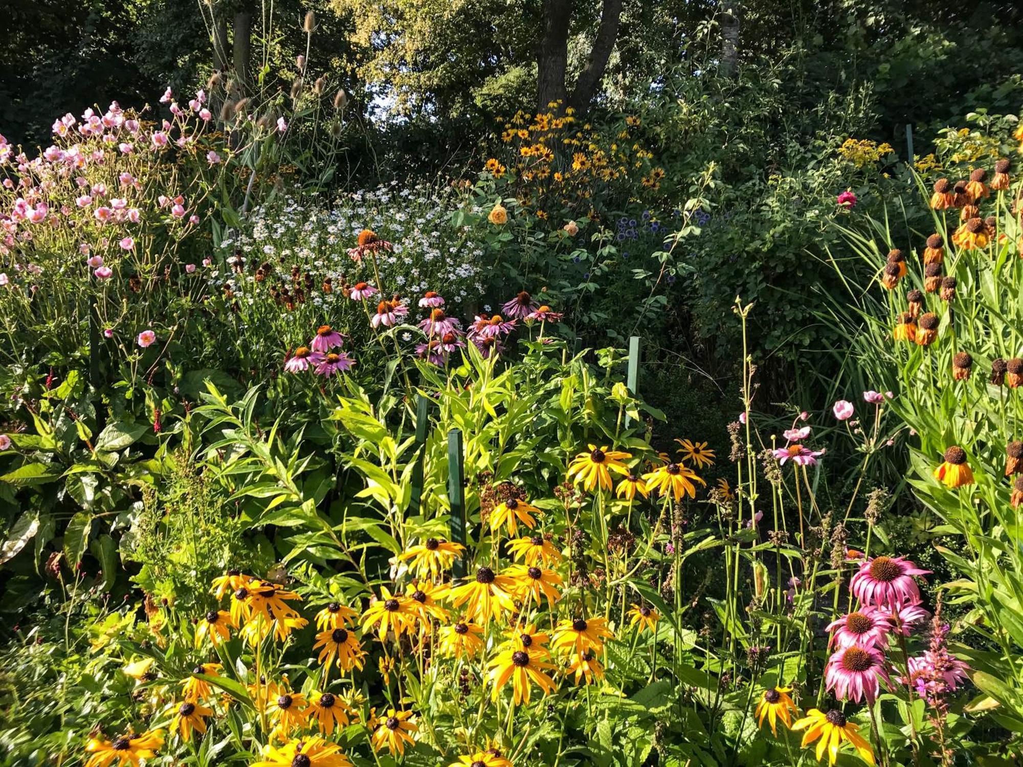 Gartenhaus Frieda Galmsbull Bagian luar foto