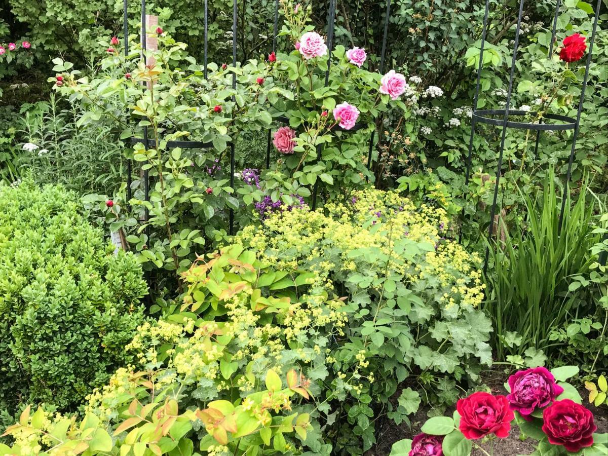 Gartenhaus Frieda Galmsbull Bagian luar foto